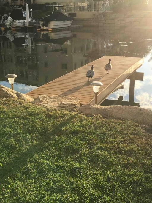 Broadwater Canal Frontage-Runaway Bay-Boat Ramp Gold Coast Eksteriør billede